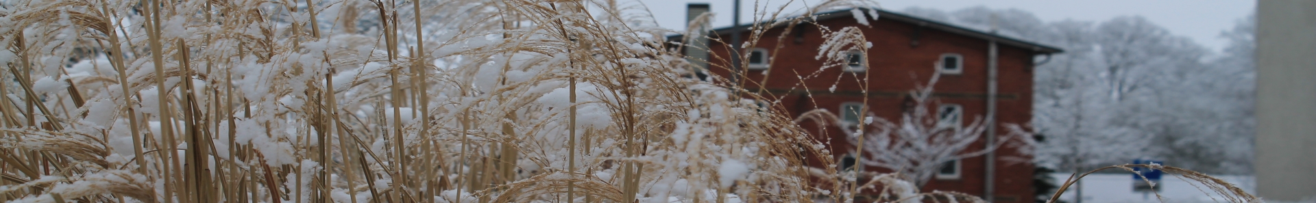 Banner - Eierspeicher im Winter